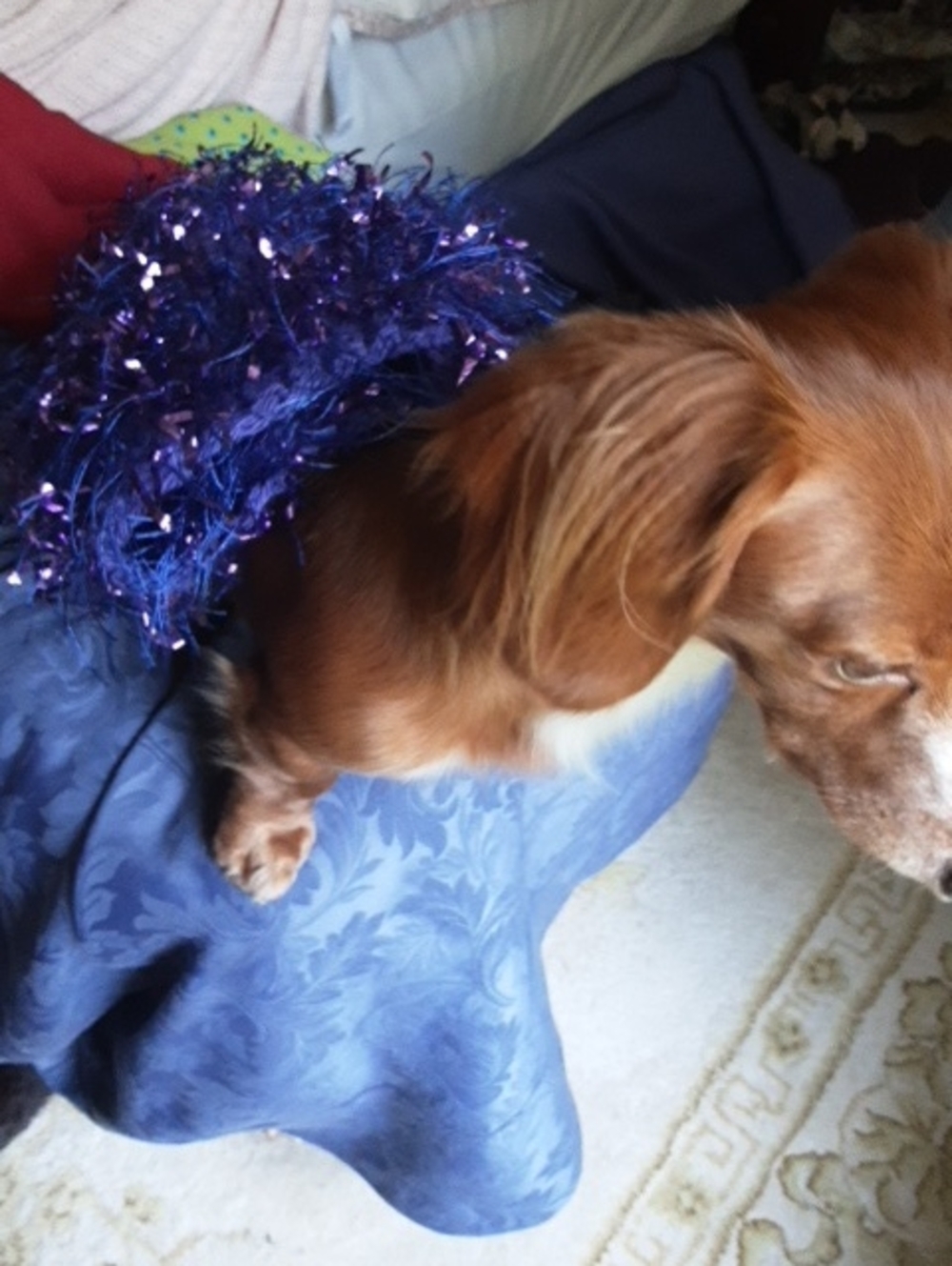 Purple Plush Tinsel Dog Hand Knit Sweater